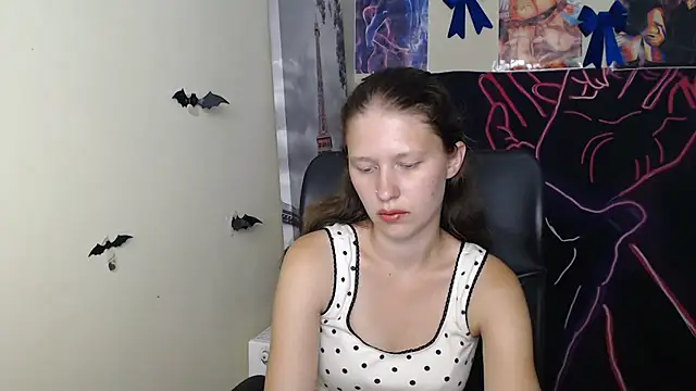 StellaCRL webcam