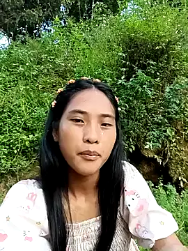 Hoa-tuylip webcam