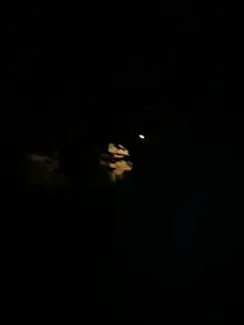 Hideen-real-face live sex cam