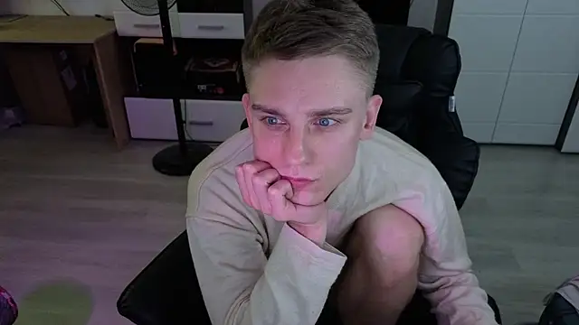 pvlpstvy webcam