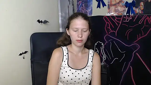 StellaCRL webcam