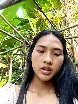 Hoa-tuylip webcam