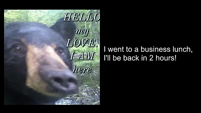 Miranda2_0 webcam