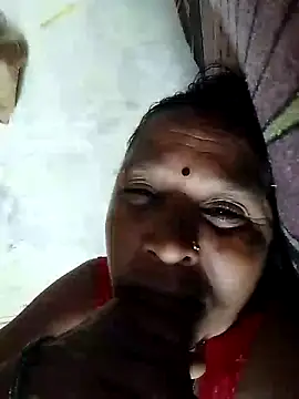 Loomaraj webcam