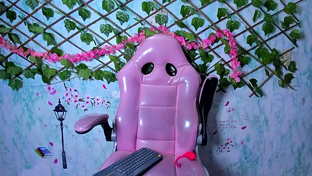 Pamesmith webcam