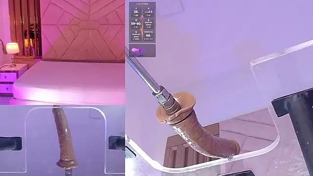 DollyMae_ webcam
