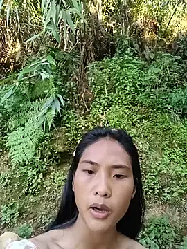 Hoa-tuylip webcam