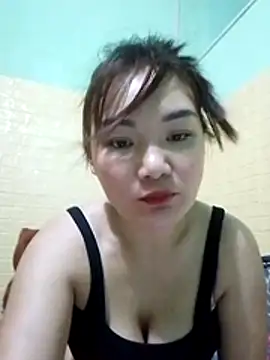 Voiva11 webcam