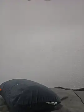 inkpanther6969 webcam