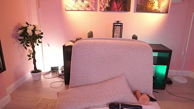 CamyRoux webcam