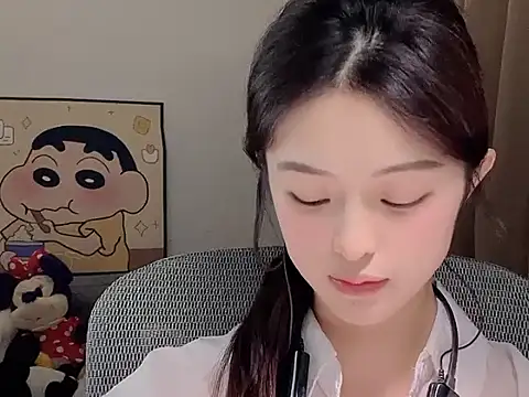 Dodo-13 webcam