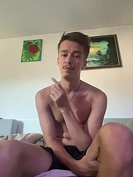 Toyjungee webcam