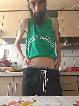 vulpe8400 webcam