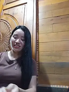 Td3di webcam