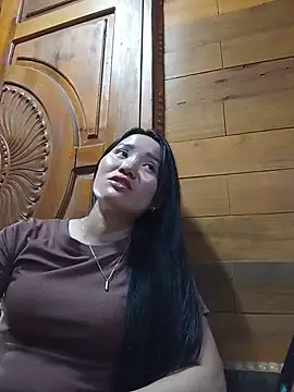 Td3di webcam