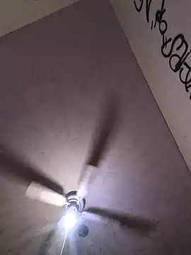 Cnutt310 webcam