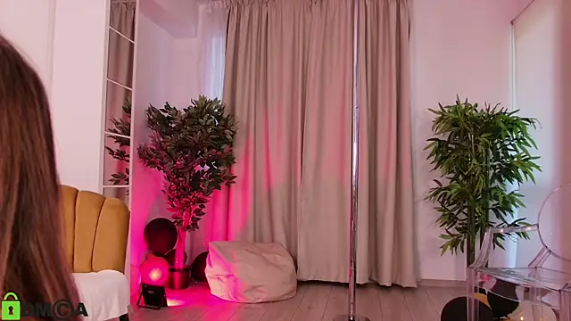MayaSpringX