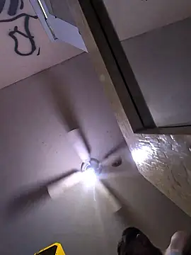 Cnutt310 webcam