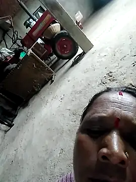 Loomaraj webcam