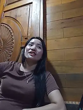 Td3di webcam