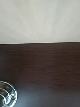 vulpe8400 webcam
