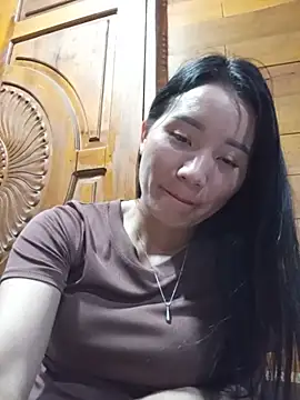 Td3di webcam