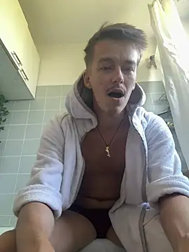 Toyjungee webcam