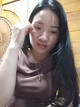 Td3di webcam