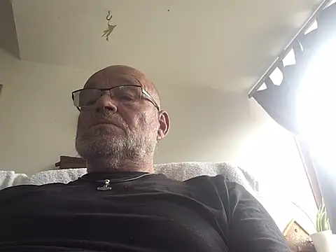 harburger40 webcam