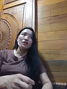 Td3di webcam