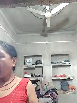 Loomaraj webcam