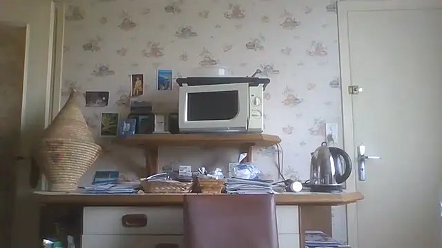 gegevincent5 webcam