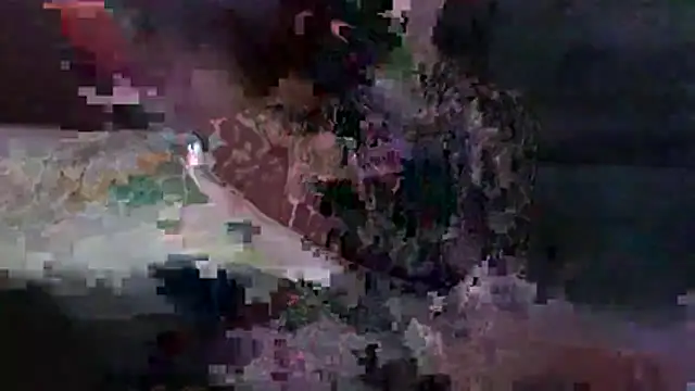 VenusX webcam