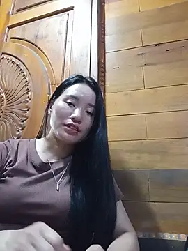 Td3di webcam