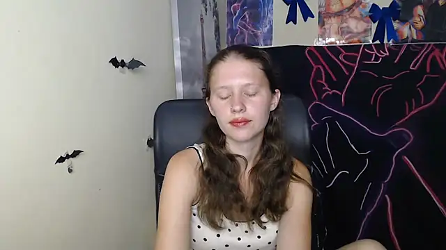 StellaCRL webcam