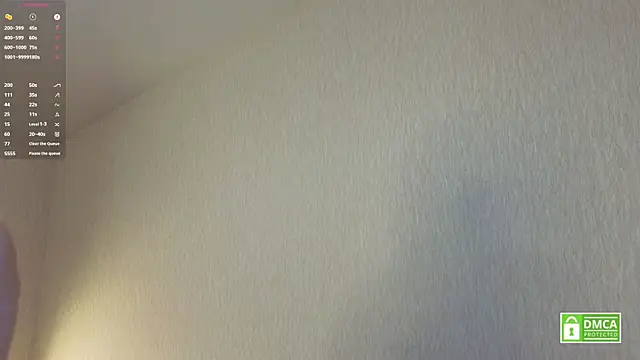 HongTomczak webcam