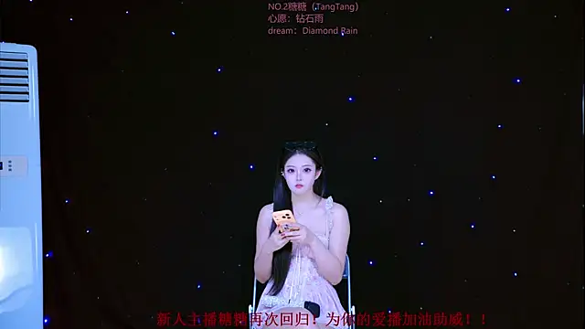 CCTW-100 webcam