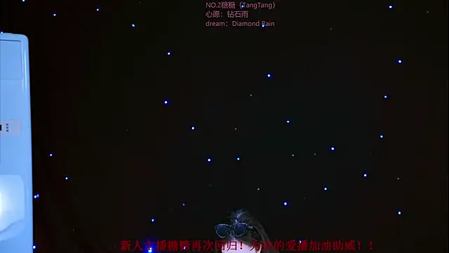 CCTW-100 webcam