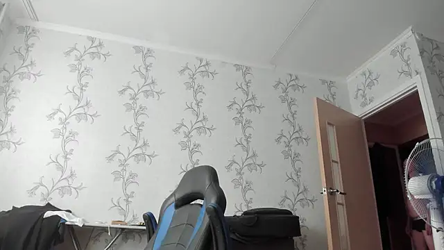SanFrantsisko webcam