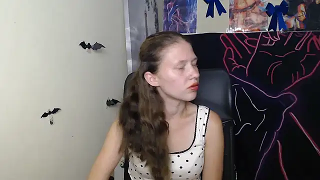 StellaCRL webcam
