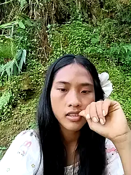 Hoa-tuylip webcam
