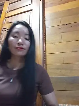 Td3di webcam