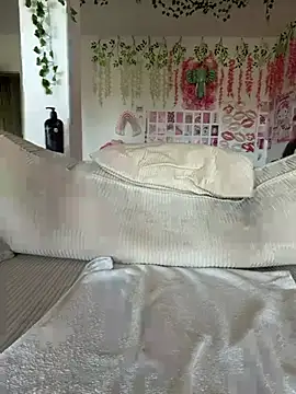 Stella-Kink webcam