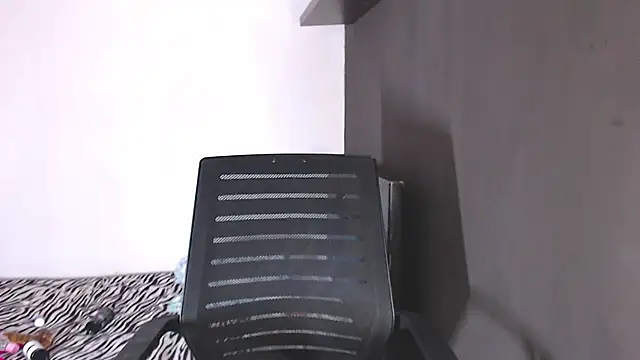 SusanLeroy webcam