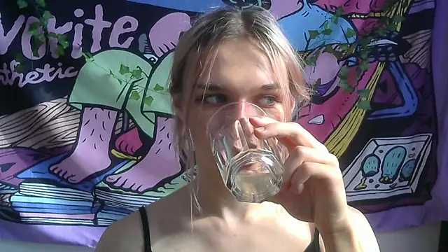 icebenz webcam
