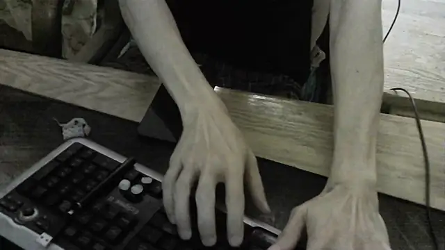 FiSTALiTY webcam