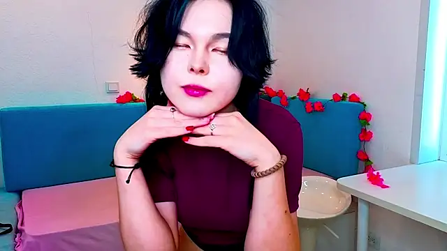 HirokoBard webcam