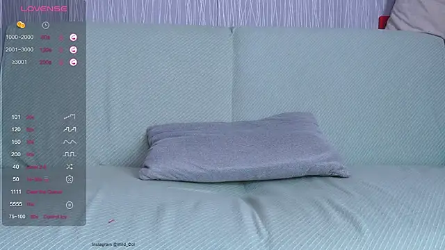 wild_col_ webcam