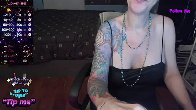 VenusX webcam