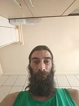 vulpe8400 webcam